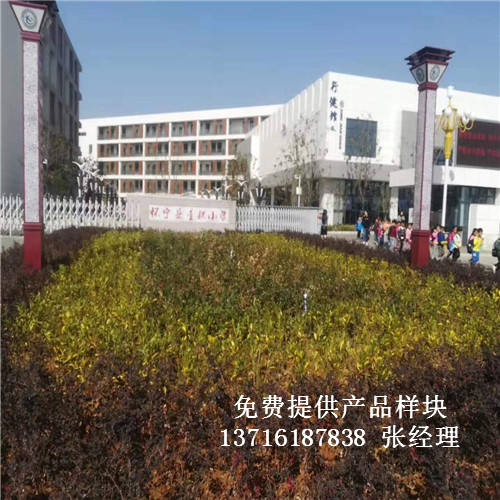 ՑьǹС(xi)@(chng)^w(sh)ľذ尸