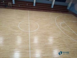籃球場館木地板哪個牌子較環保